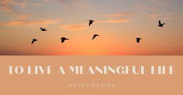 To Live a Meaningful Life