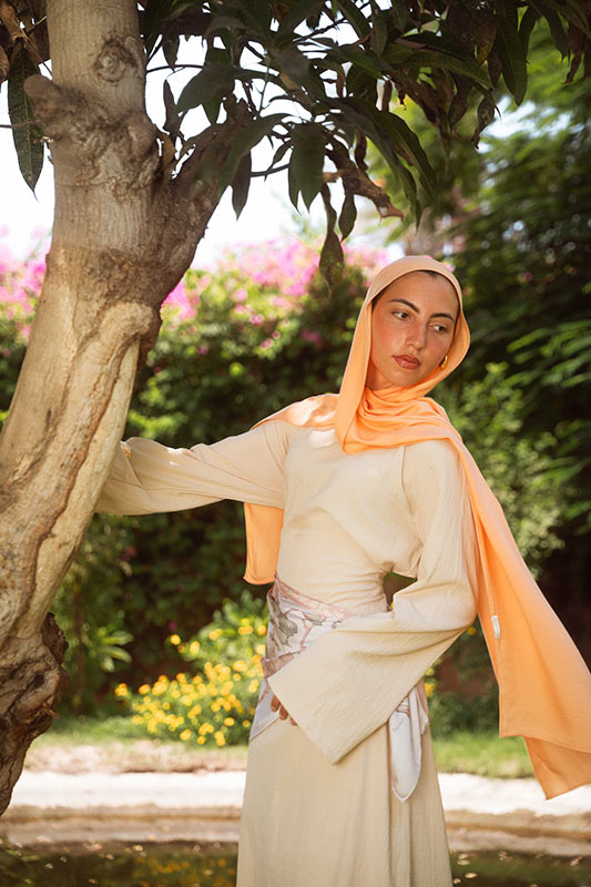 Apricot Elegance