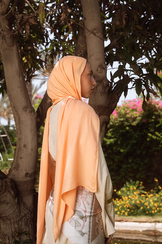 Apricot Elegance