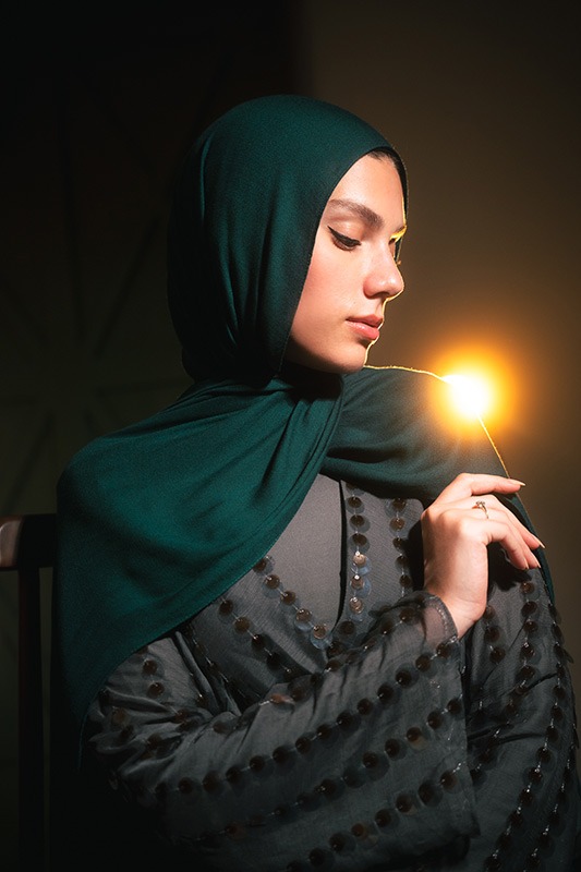 Evergreen Elegance - Image 4